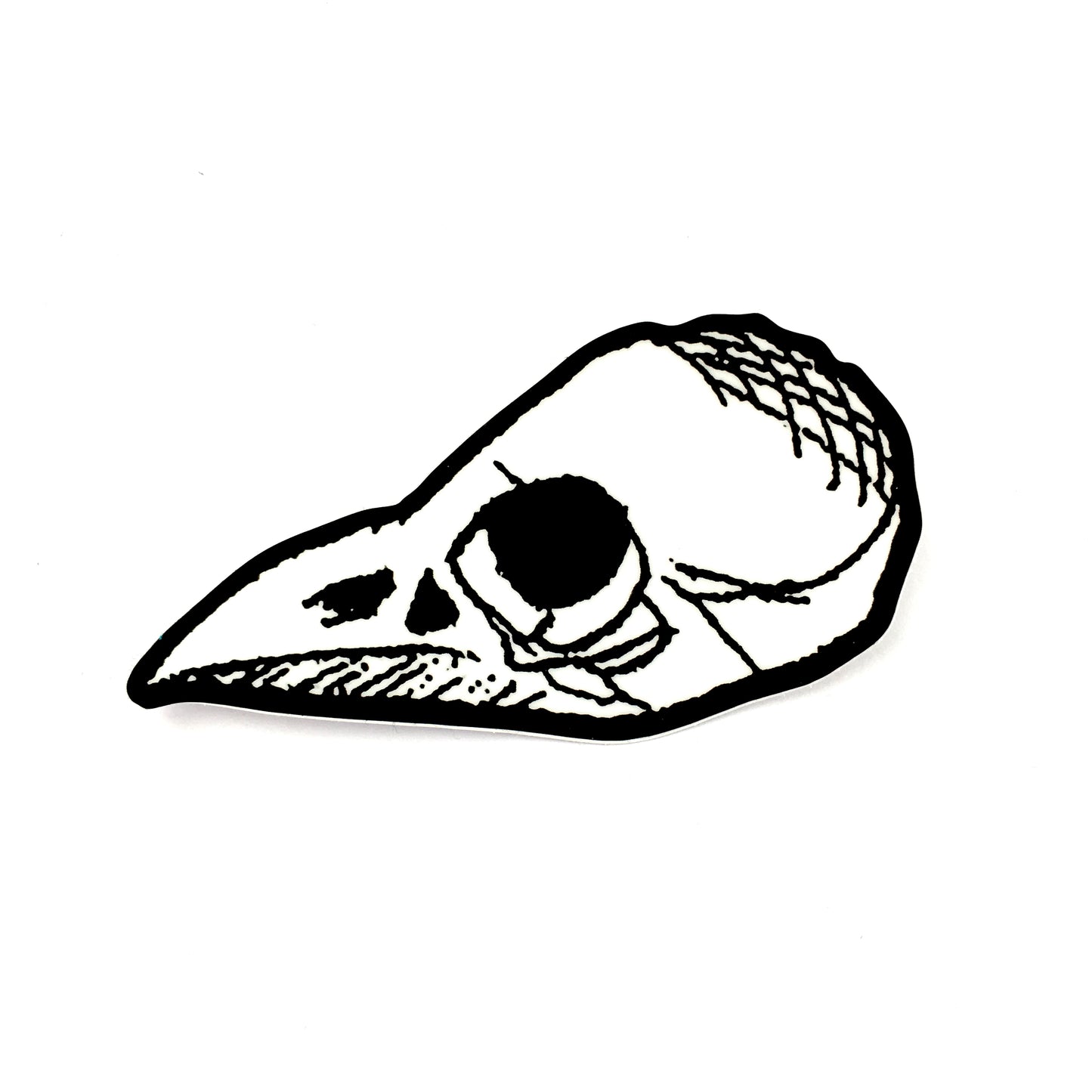 Bird Skull 3" Vinyl Sticker