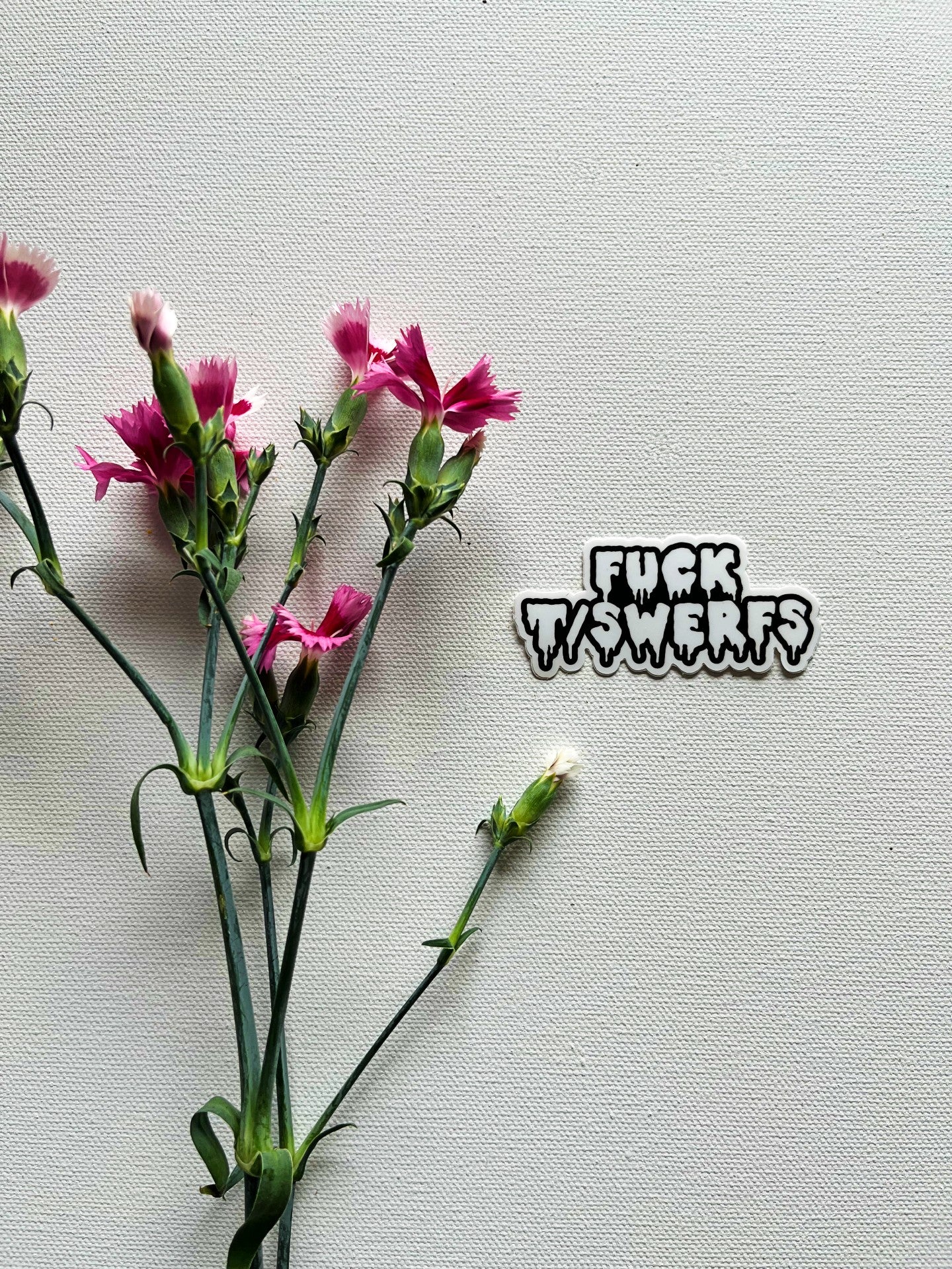 Fuck T/SWERFs Vinyl Sticker