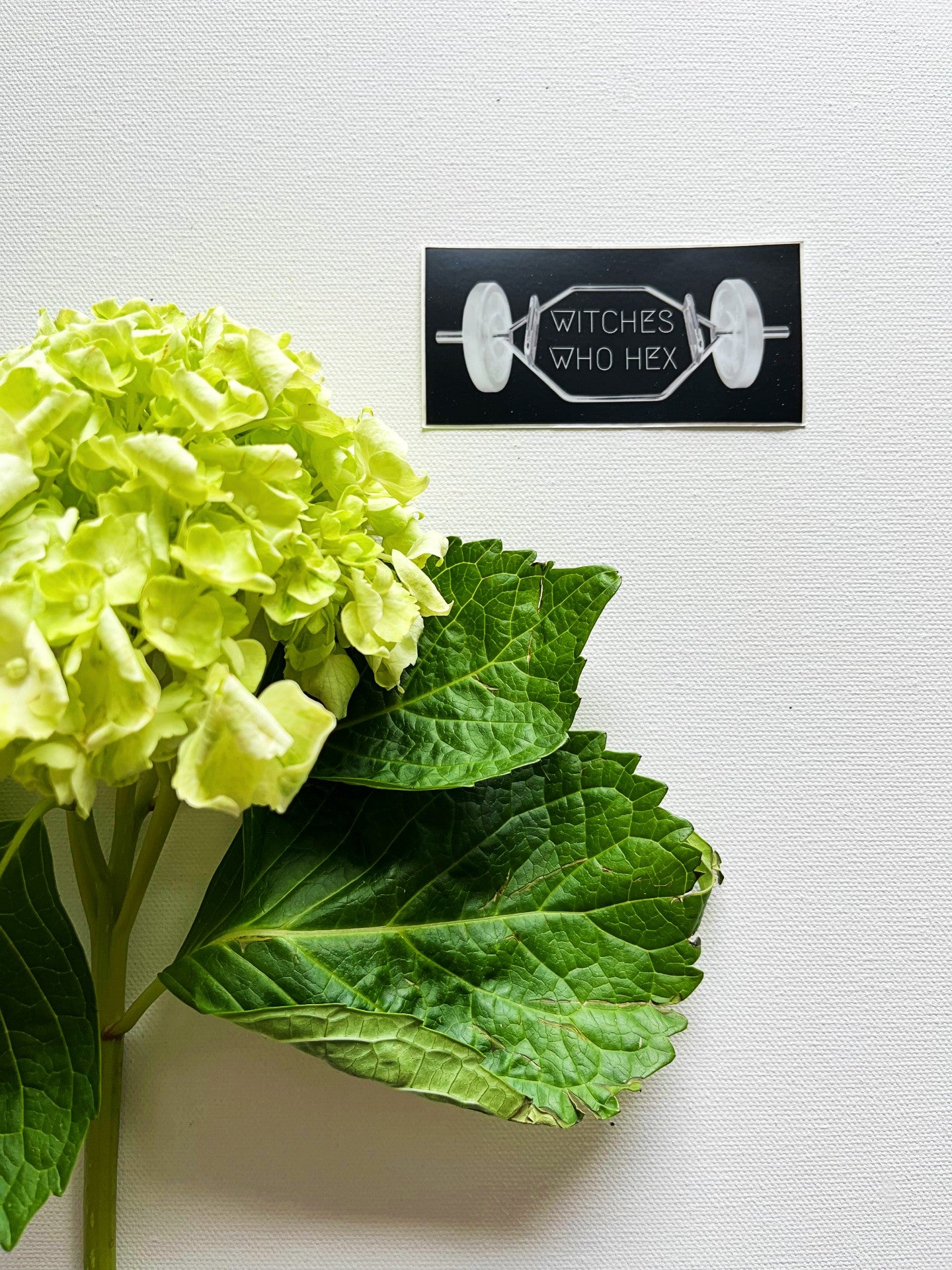 Witches Who Hex Vinyl Sticker