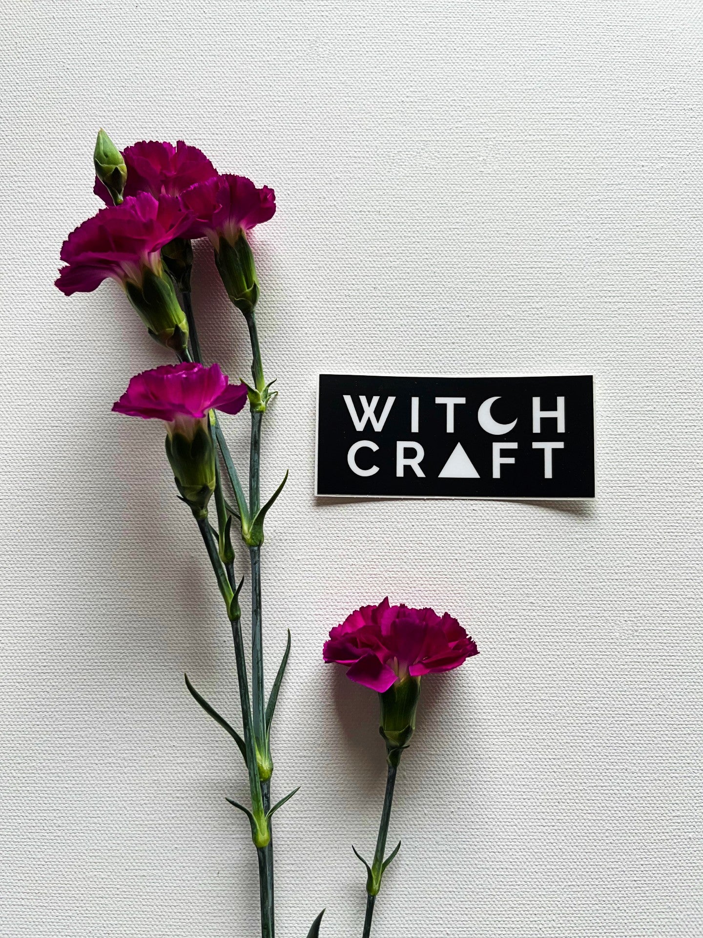 Witchcraft Vinyl Sticker