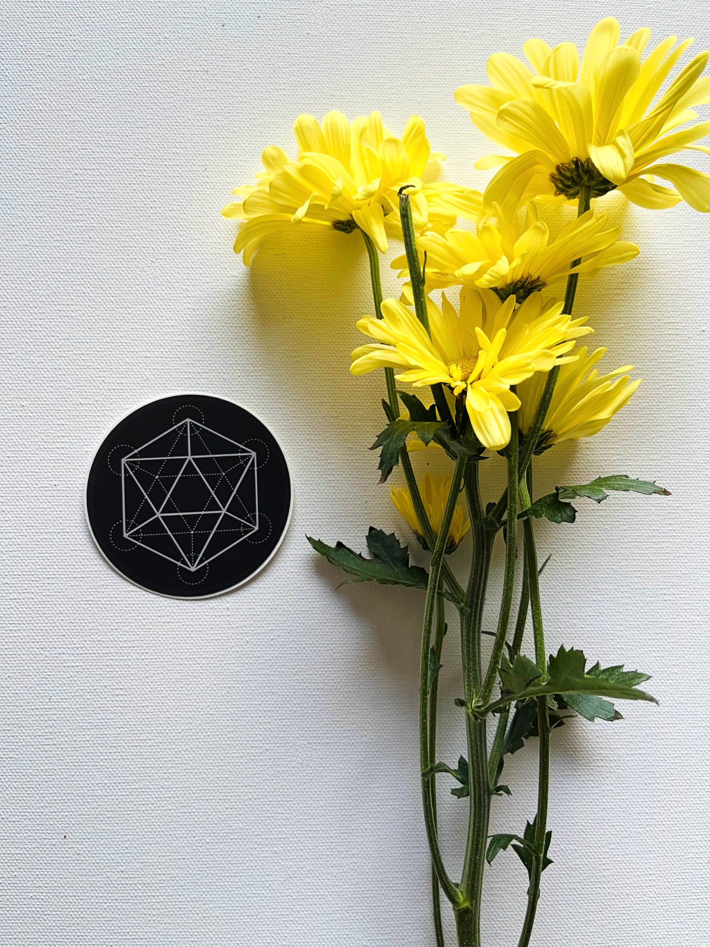 Sacred d20 Vinyl Sticker