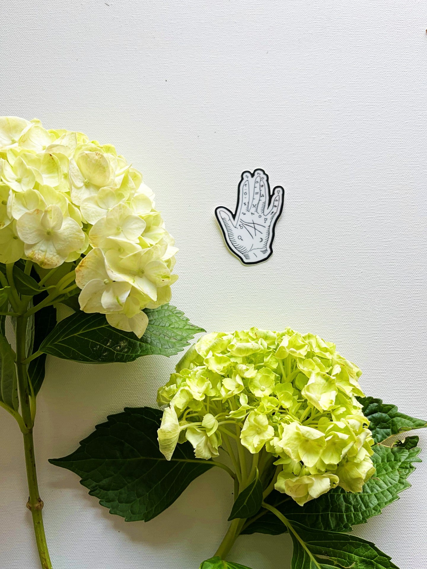 Mystic Palmistry Hand Vinyl Sticker