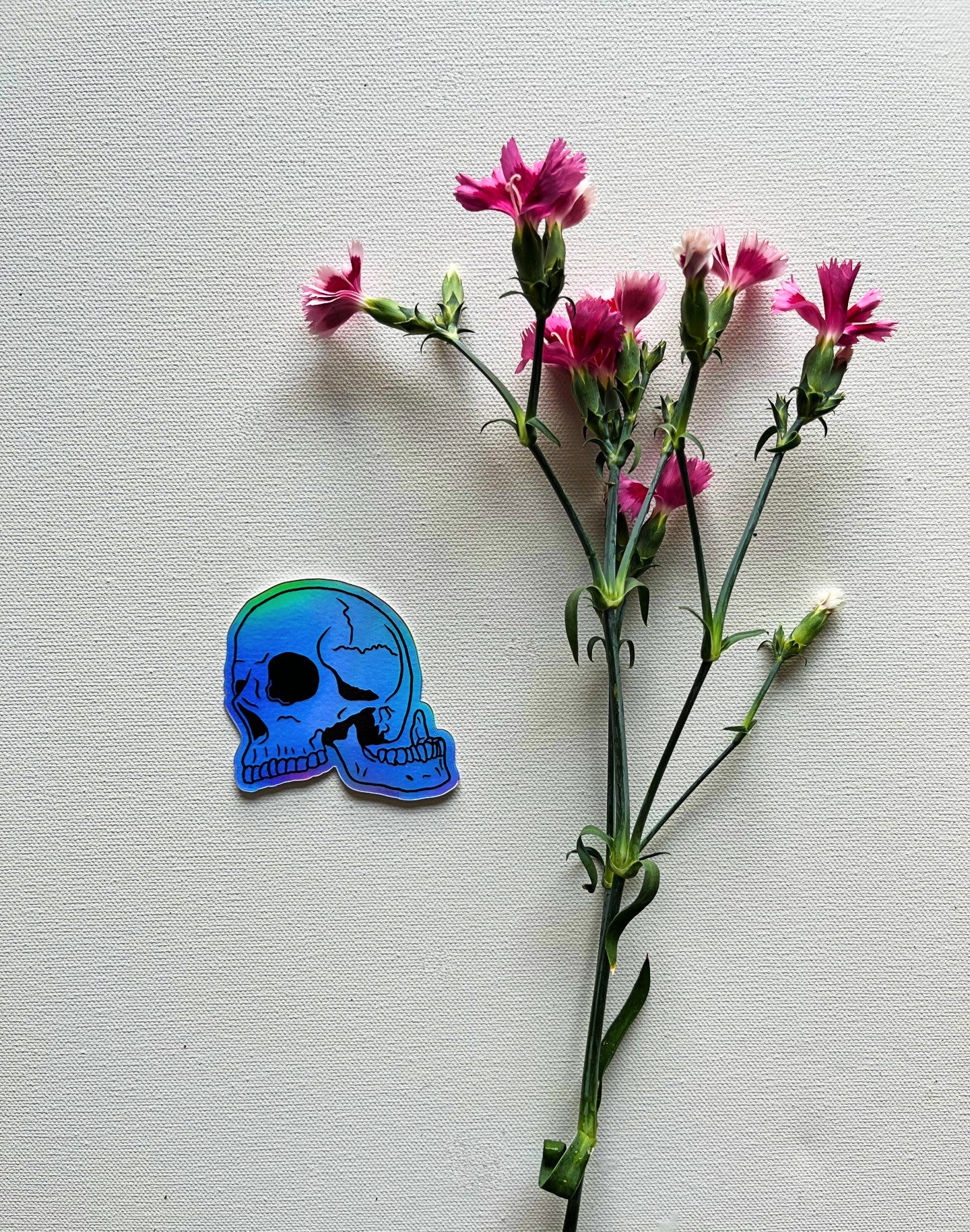 Janus Skull Vinyl Sticker