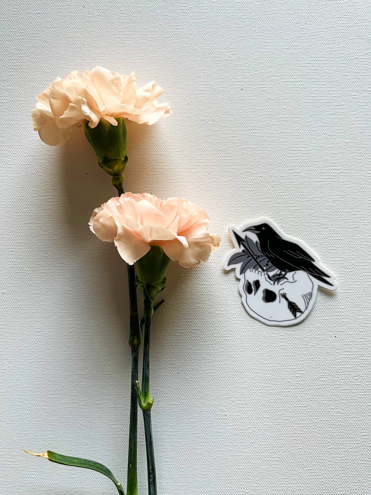 Apollo Raven & Skull Vinyl Sticker