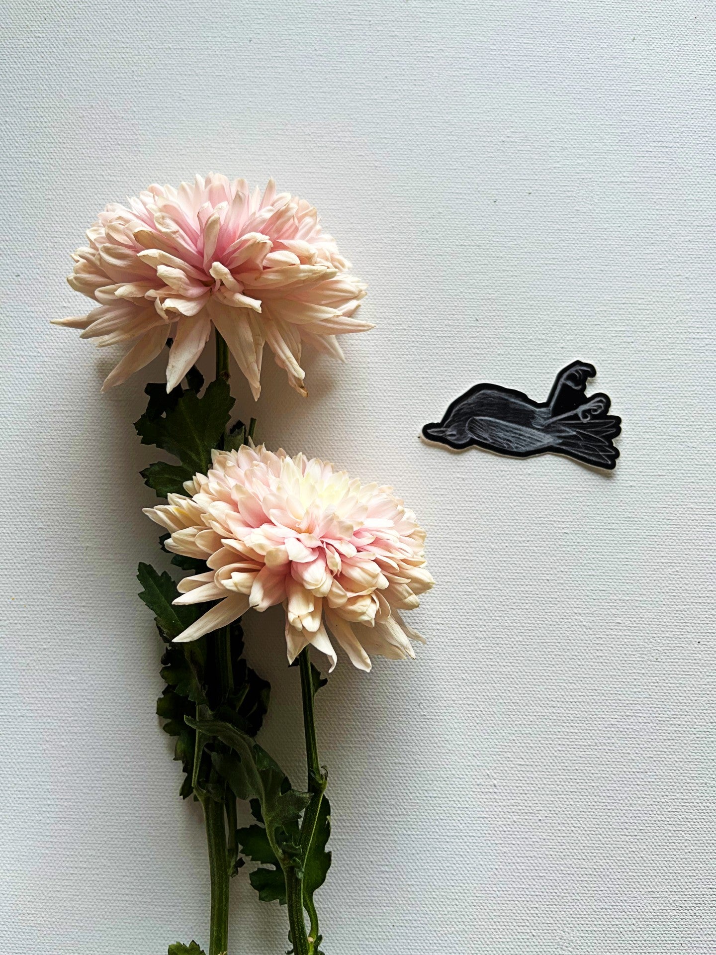 Requiescat In Pace Bird Vinyl Sticker