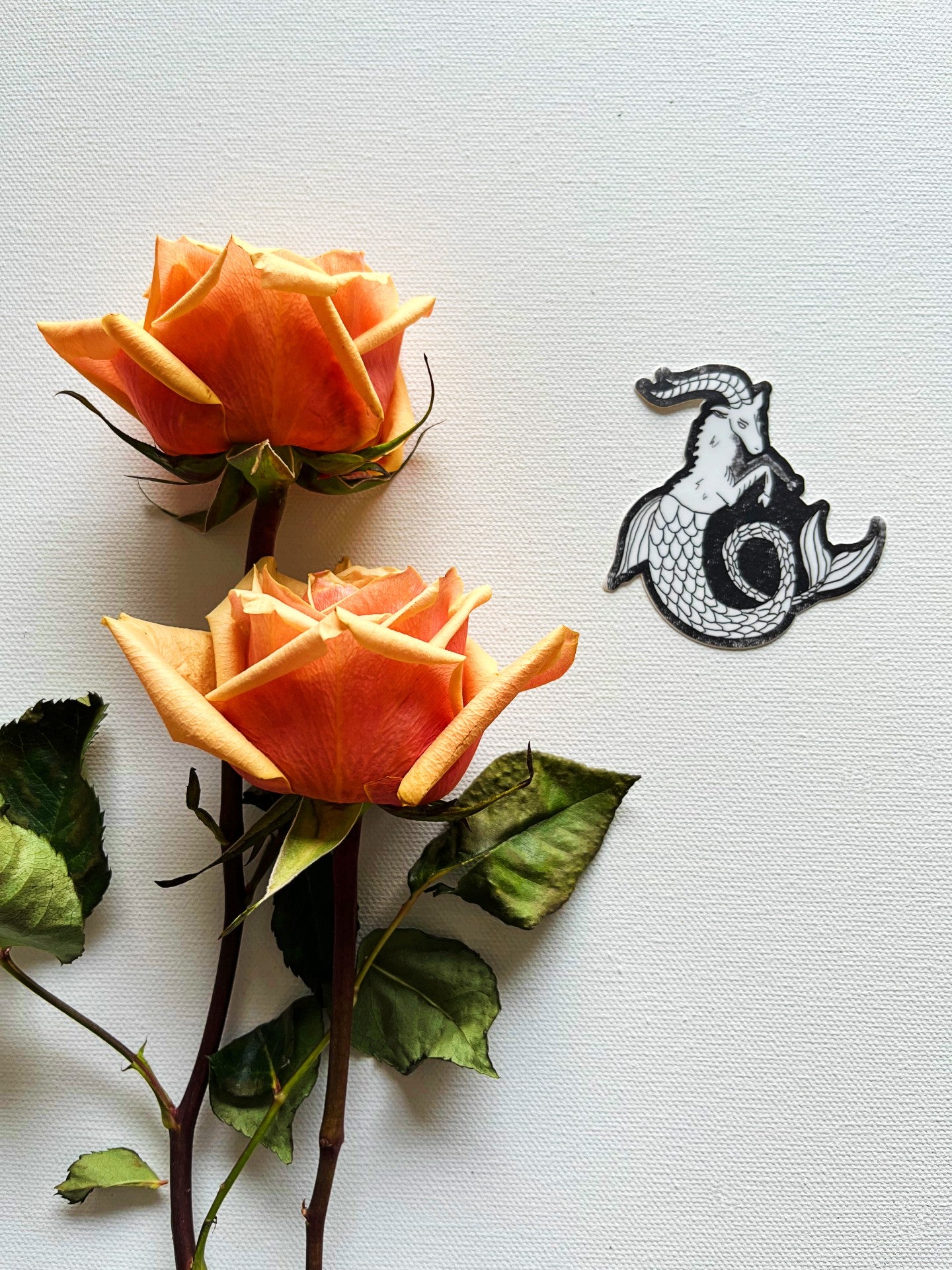 Capricorn Vinyl Sticker