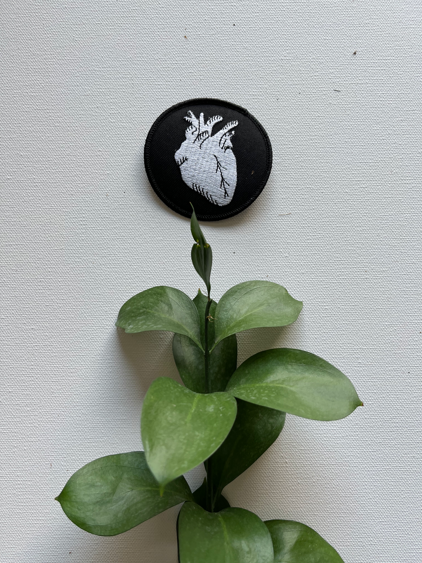 Anatomical Heart Iron-On Patch